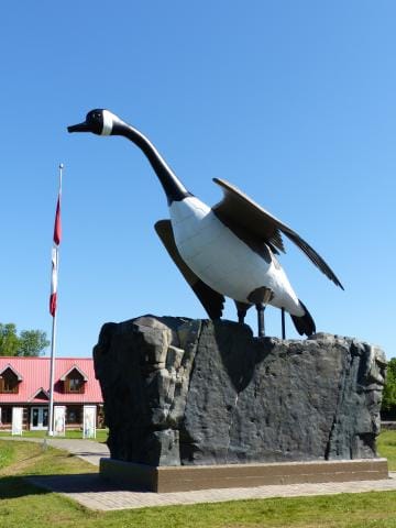 Wawa Goose